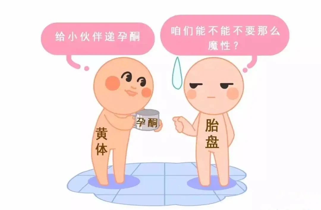 HCG和孕酮低一定會(huì)流產(chǎn)？備孕女性必須知道的孕早期“秘密”