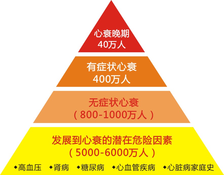 NT-proBNP怎么就成死亡預(yù)測因子?