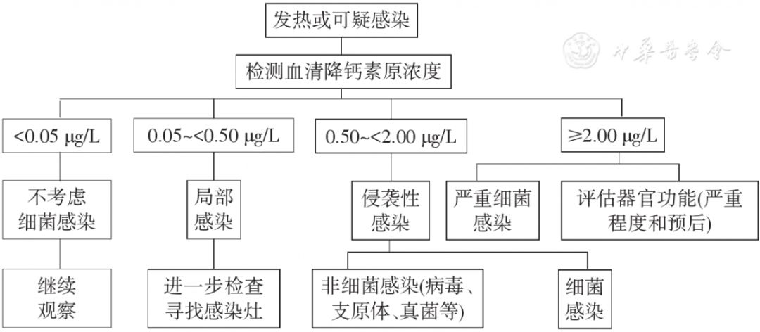 血清降鈣素原檢測用于感染相關疾病鑒別診斷程序圖